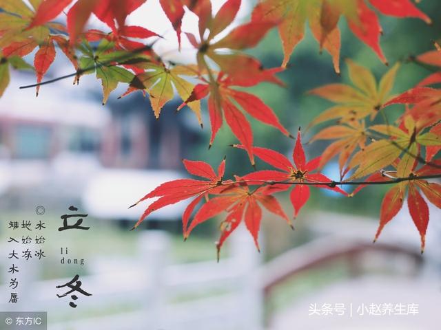 今日立冬,吃“三果”,饮“三水”,做“三菜”全家人都不生病!