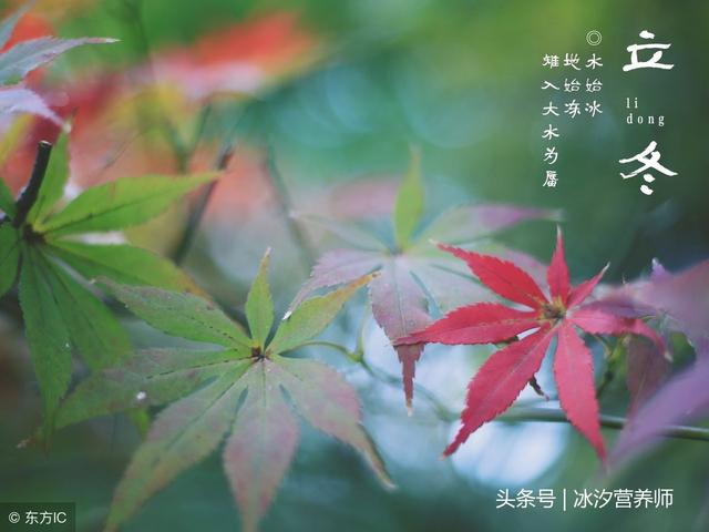 立冬如何进补?三肉三茶三粥不可少,养生不生病!