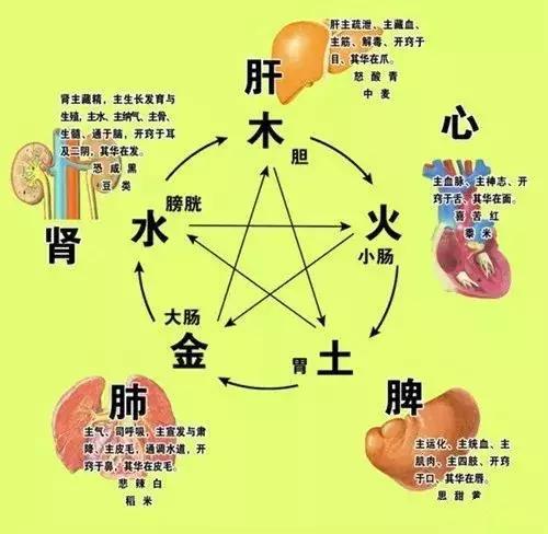 什么叫养生？