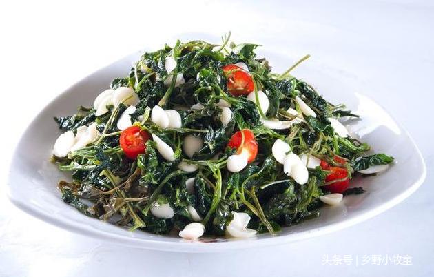 农民常吃的2种养生野菜,其中一种是白血病的克星,你吃过吗?