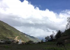 大寒养生要灭四把火