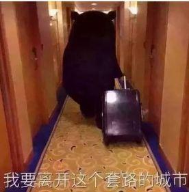 烟台天气又要作妖了!除了大范围降雪,还有-7℃+8级大风,烟台人你们准备好了吗?