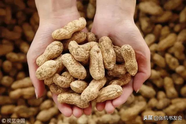 秋季应季食材,6款药膳教你做,美味又养生