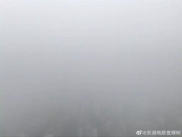 小到中雪!新一轮阴雨雪来袭,武汉接下来的天气…