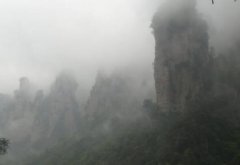 2018年是寡妇年吗 无春年能