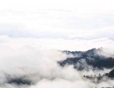 立春吃水果要注意什么