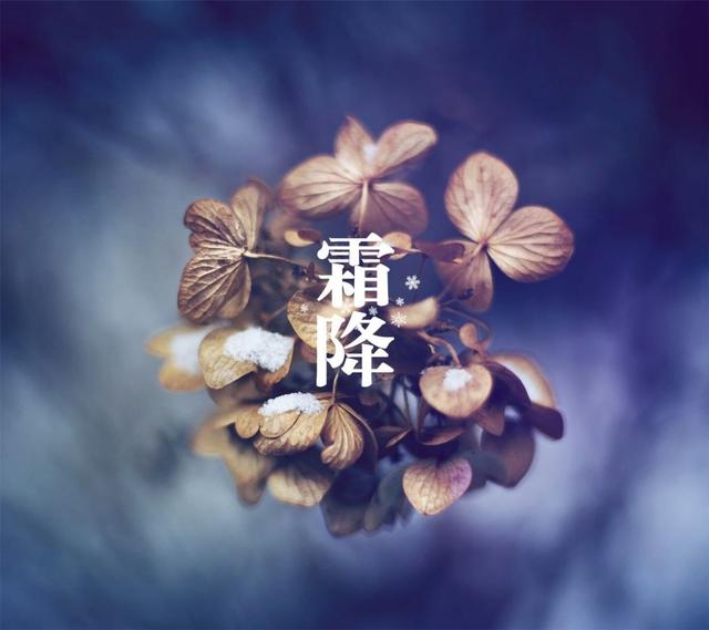 二十四节气|霜降养生,全知道(建议收藏)