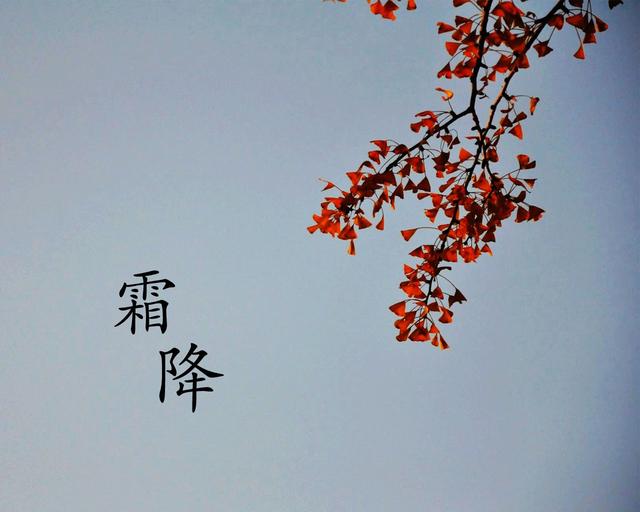二十四节气|霜降养生,全知道(建议收藏)