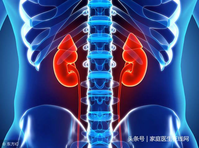 想养生先“养肾”?养肾犯了这6个禁忌,不见效又伤身