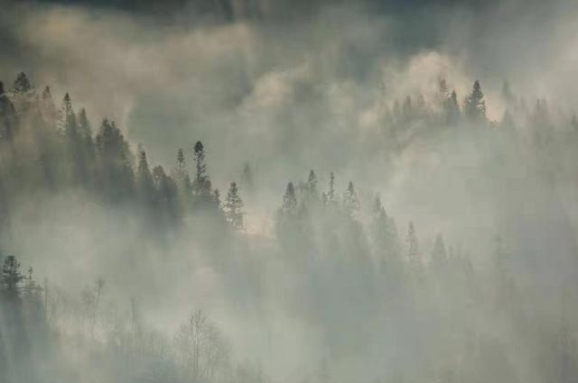 大雾天气竟然藏着这么多秘密…