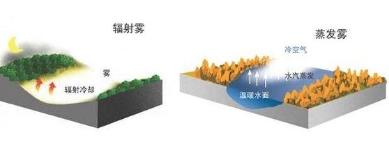 大雾天气竟然藏着这么多秘密…