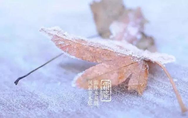 【气象科普知识】秋将逝,冬将至…你感受到了吗?