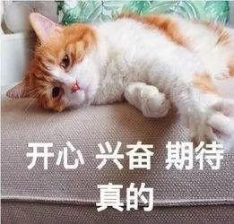 早间出行,注意大雾~