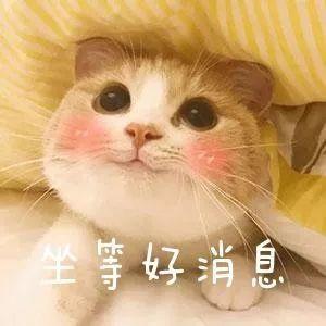 早间出行,注意大雾~