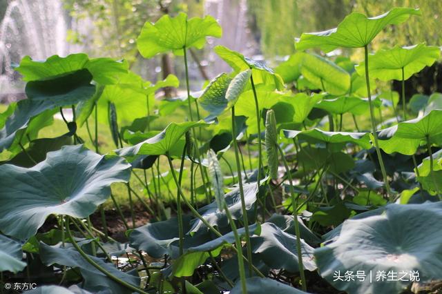 一旦腿部出现4种表现,可能是血管“堵”了,这3类人最好去查一下