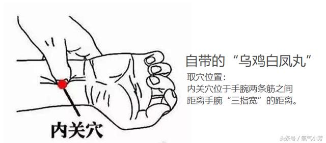 两大滋补穴位:手腕有“乌鸡白凤丸”,腿上有“六味地黄丸”