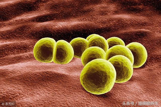 红心柚究竟能吃吗?柚子皮是宝,能抗癌?关于吃柚子的几个真相