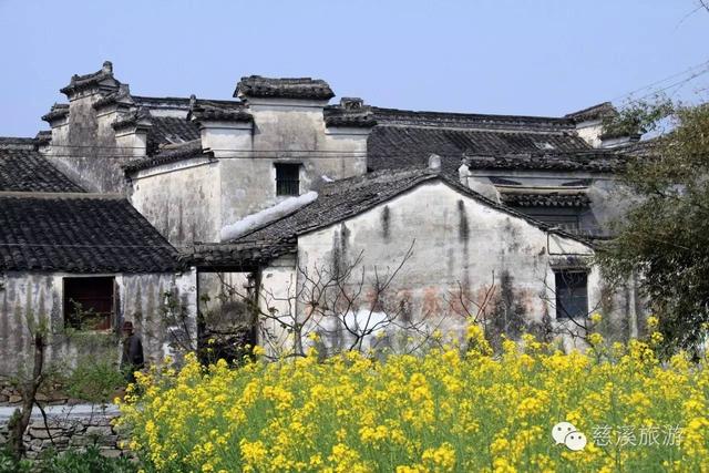 秋冬时节,不要错过慈溪这三条养生旅游线路