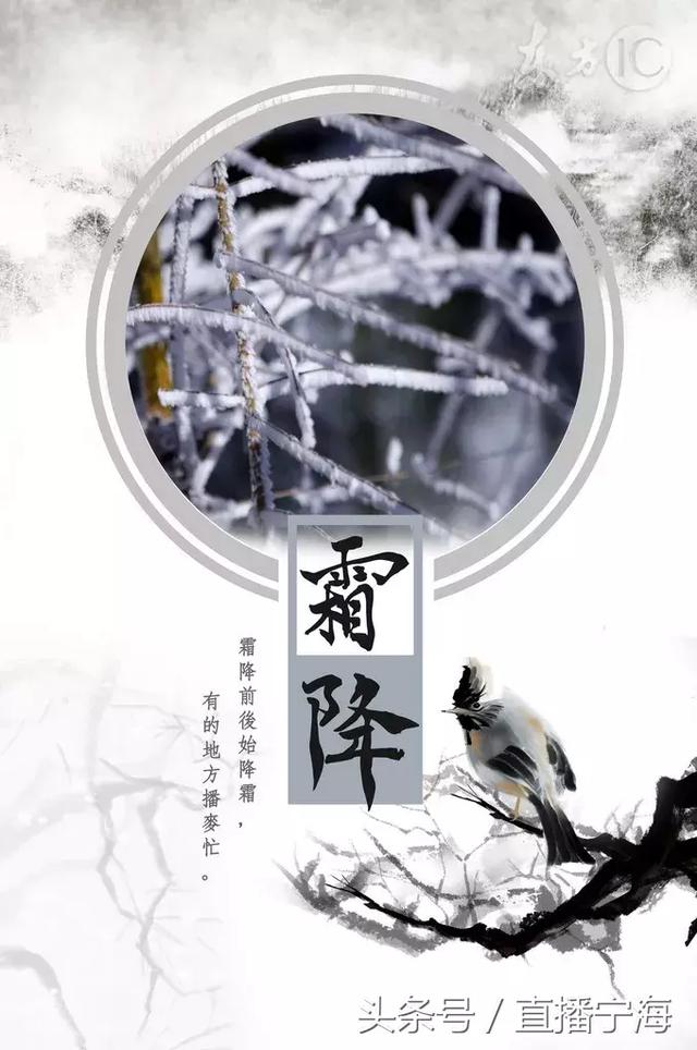 霜降,走的是温度,来的是一波养生tip!