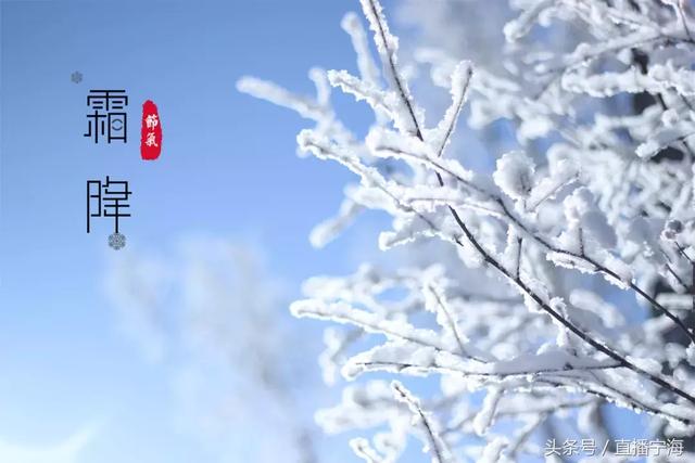 霜降,走的是温度,来的是一波养生tip!