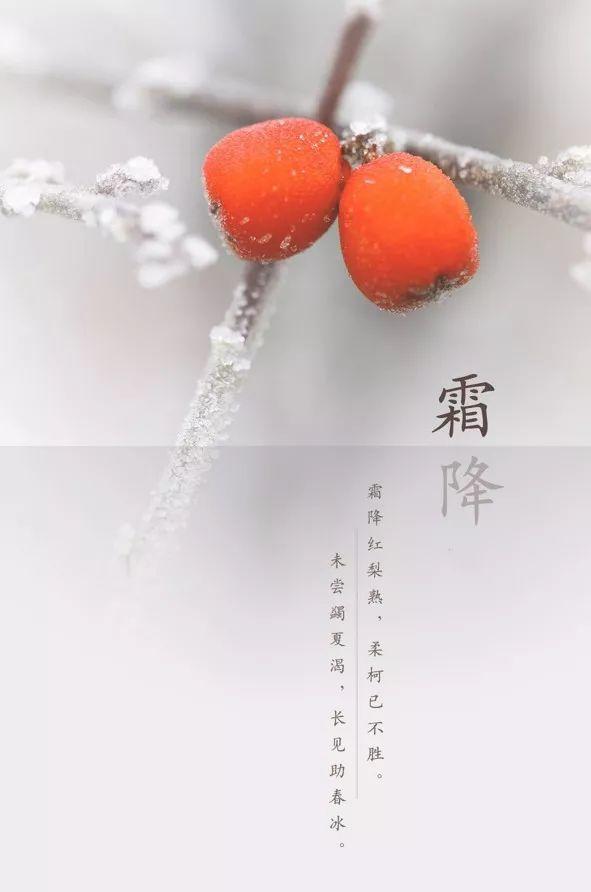 今日霜降丨一年补透透,不如补霜降,一年中最重要的养生时机!