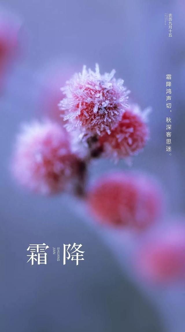 今日霜降丨一年补透透,不如补霜降,一年中最重要的养生时机!