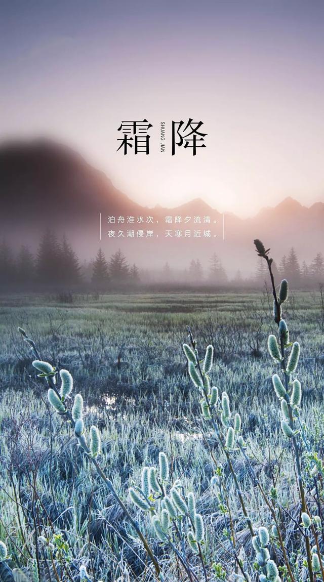 今日霜降丨一年补透透,不如补霜降,一年中最重要的养生时机!