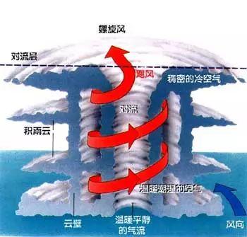 晴热天气复制粘贴,后期有望降温(气象科普 | 揭秘台风监测与预报)