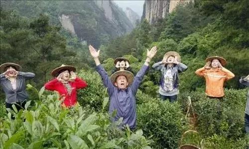 农场养生养老该怎么做?