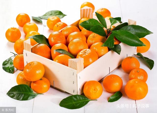 秋季13种养生食物 千万不要错过!