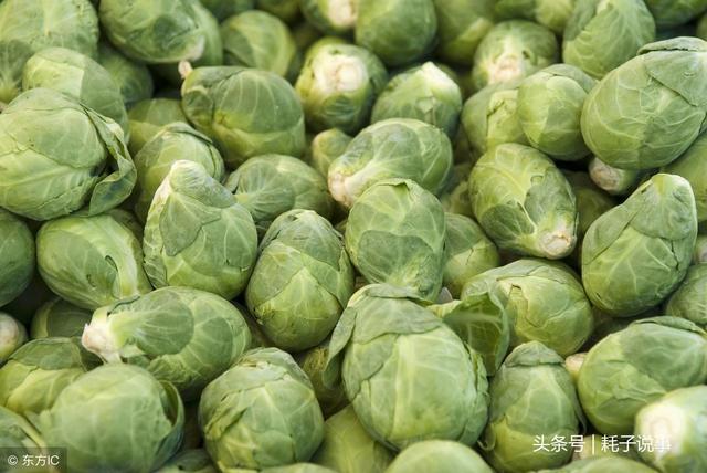 秋季13种养生食物 千万不要错过!