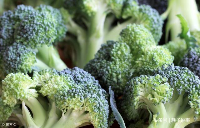 秋季13种养生食物 千万不要错过!