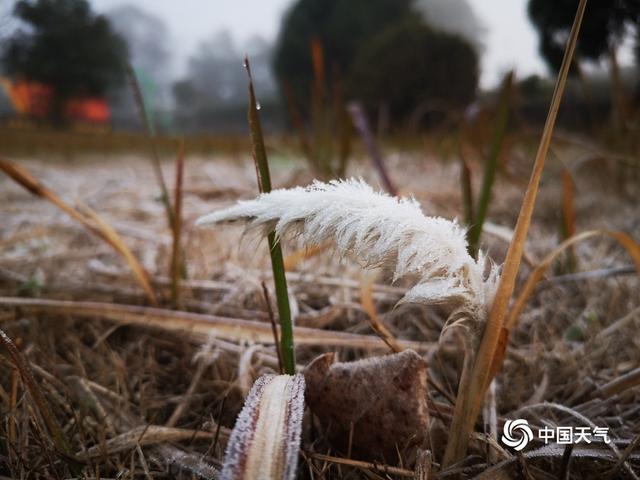 大寒节气江西寒意足 霜冻大雾齐登场