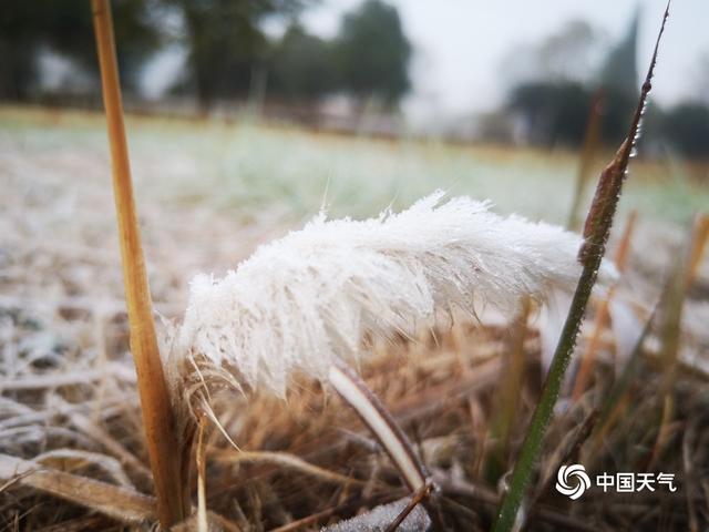 大寒节气江西寒意足 霜冻大雾齐登场