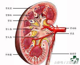为了你的健康做好秋冬季节的养生