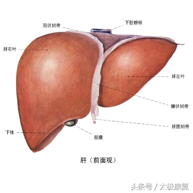 为了你的健康做好秋冬季节的养生