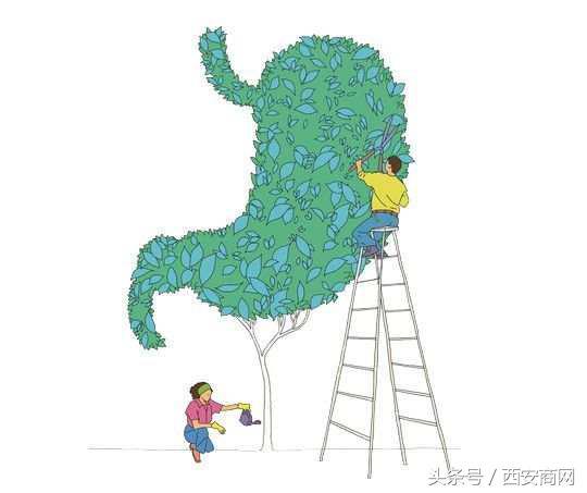 今日霜降,护好3个部位,做好4件小事,让你健康过冬