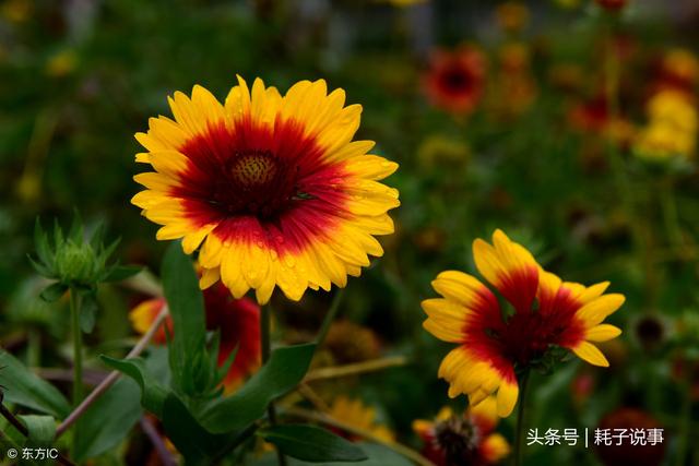霜降养生我们要从脚和胃开始