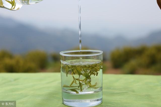 秋季养生茶,养生去秋燥,操作简单的养生小方