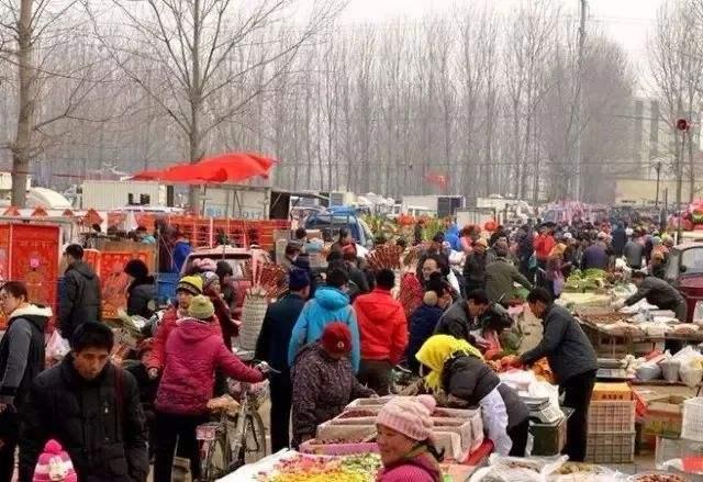 趣玩家族小知识:大寒到了,春节也近了!你们准备好过年了吗?