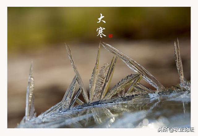 俗语:“过了大寒,又是一年”,今日大寒有什么习俗和禁忌呢?