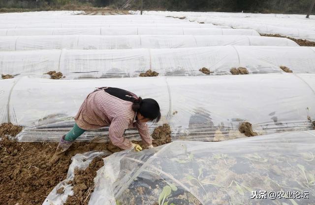 俗语:“过了大寒,又是一年”,今日大寒有什么习俗和禁忌呢?
