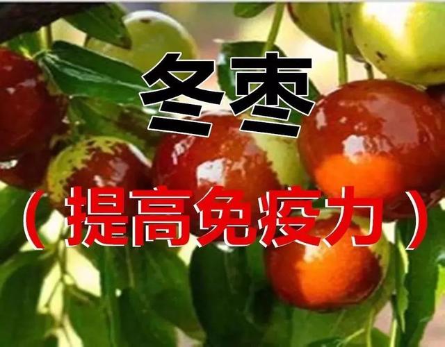 大寒已至 春天不远!这些养生常识要知道……