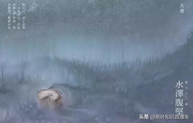 大寒过后,喝茶养生,天寒人不寒