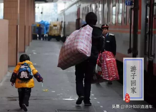 大寒过后,喝茶养生,天寒人不寒