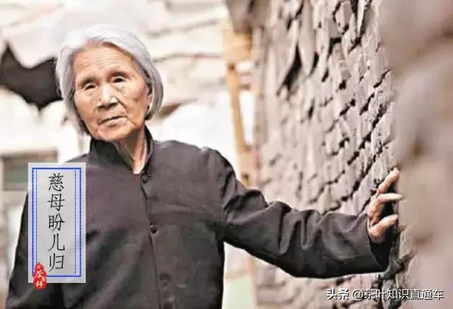 大寒过后,喝茶养生,天寒人不寒