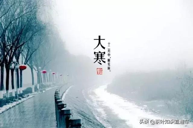 大寒过后,喝茶养生,天寒人不寒