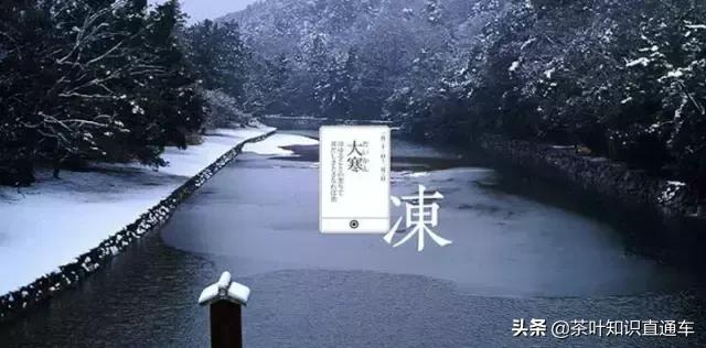大寒过后,喝茶养生,天寒人不寒
