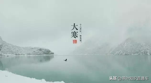 大寒过后,喝茶养生,天寒人不寒