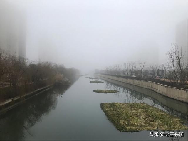 徐州春节假期天气预报出炉！鼠年第一天或有小雪，初二到初四有雨